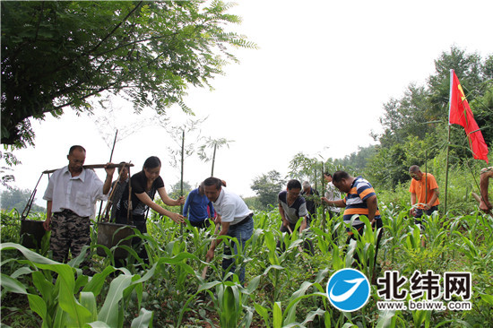 车岭镇金刚村，当地干部们帮助贫困户种植雷竹，这些雷竹苗全部由帮扶部门免费提供.jpg