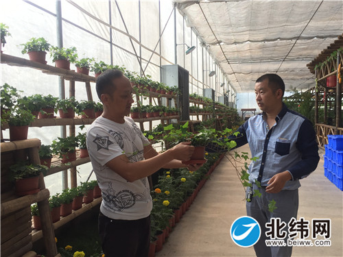 朱良斌（左）倪建康（右）查看植物科普长廊内各种植物的生长情况.jpg