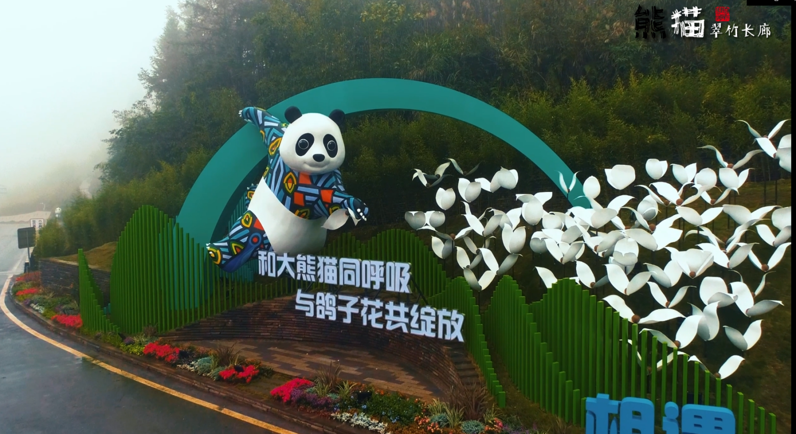 熊猫翠竹长廊 书写生态文明新画卷